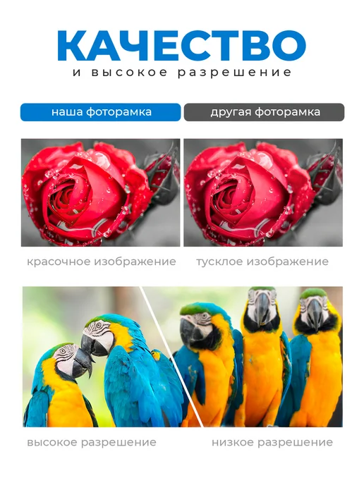 Фоторамка электронная цифровая, вариант, фото 4