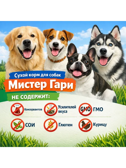 Сухой корм Мистер Гари для собак, средние, говядина, 5 кг, фото 2