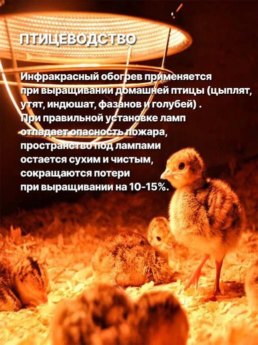 КЭЛЗ Инфракрасная лампа для курятника цыплят птиц животных 60Вт, 100 Вт, фото 2