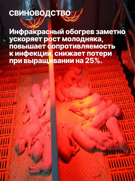 КЭЛЗ Инфракрасная лампа для курятника цыплят птиц животных 60Вт, 100 Вт, фото 3