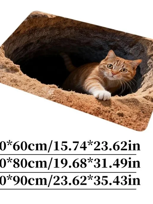Коврик для дверей 50х80 см оптическая иллюзия Домашний 3D пл…, 50x80 см, фото 2