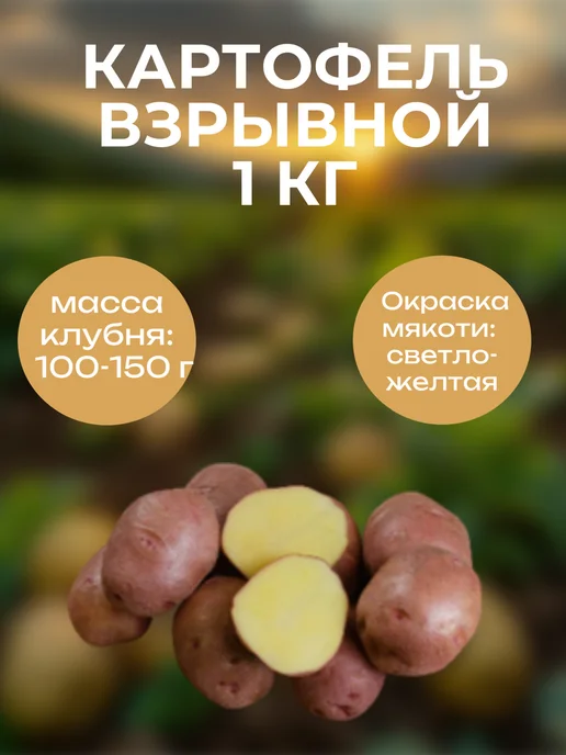 ОгородNIK Картофель Взрывной, 1 кг, 1 кг