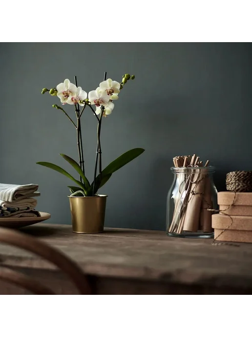 IKEA Кашпо - DAIDAI, из стали, 9 см, цвет золотой, 1 шт, 1 шт, фото 5