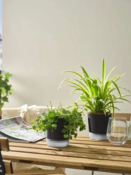 IKEA Горшок для растений VÅRDTRÄD, 11х12см, черное, 1шт, 1 шт, фото 4