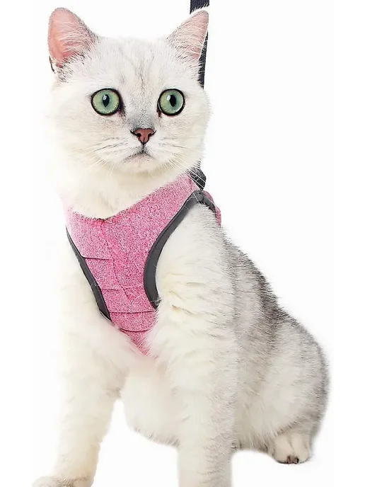 Регулируемый намордник для кошек Р. S Цв. Pink, розовый