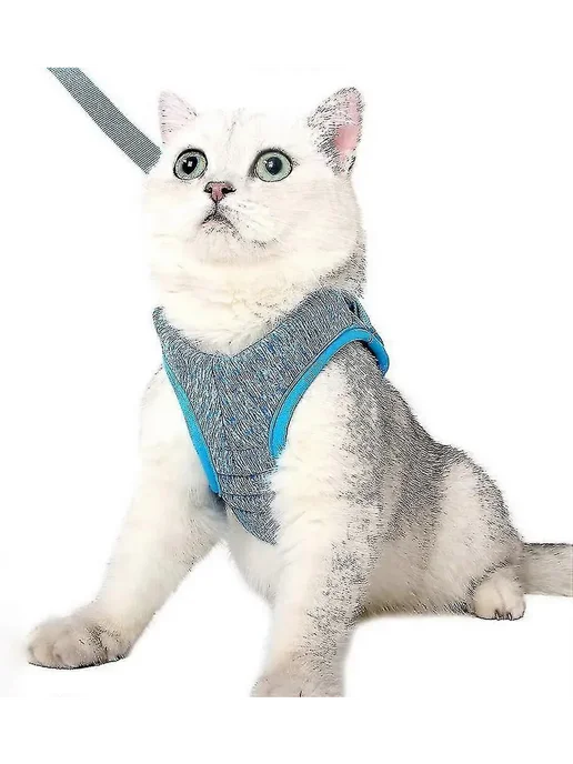 Ультралегкий ajustable ошейник для кошек Р. L Цв. Blue, синий