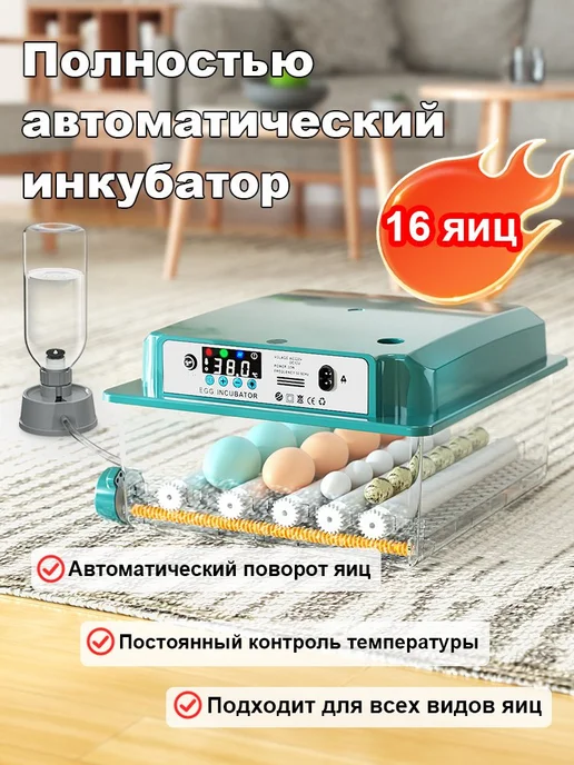 Умный инкубатор для яиц, 16 шт, автоповорот, 16 шт