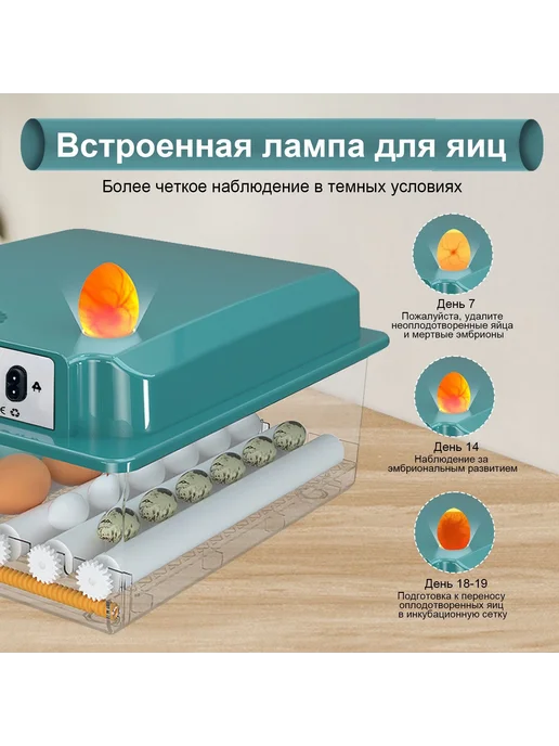 Умный инкубатор для яиц, 16 шт, автоповорот, 16 шт, фото 5