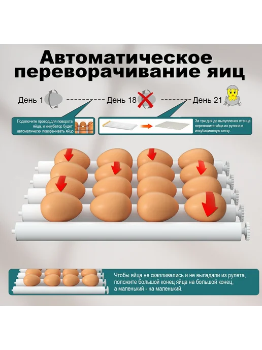 Умный инкубатор для яиц, 16 шт, автоповорот, 16 шт, фото 6