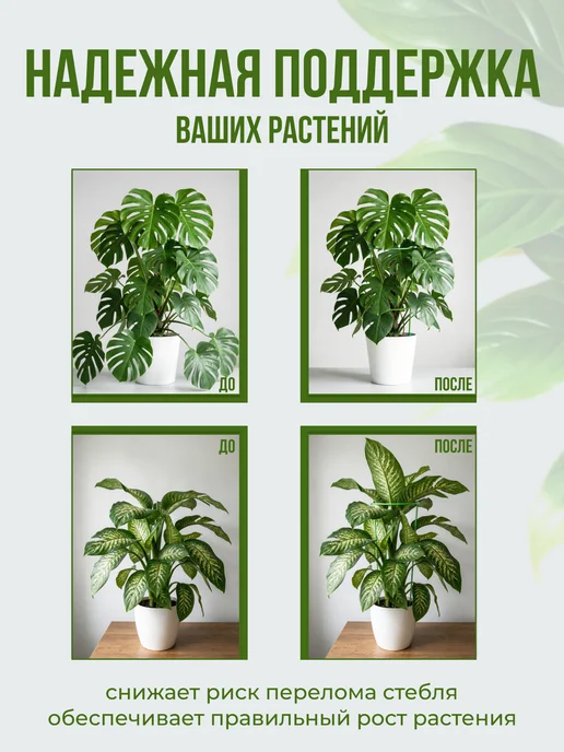 Опора для комнатных растений, зеленый, 1 шт, фото 3