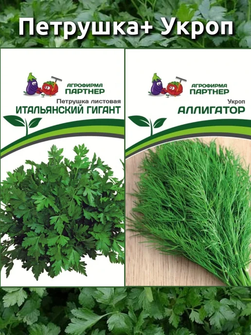 Агрофирма Партнер Семена укропа Аллигатор, петрушки Итальянский гигант, 2 шт