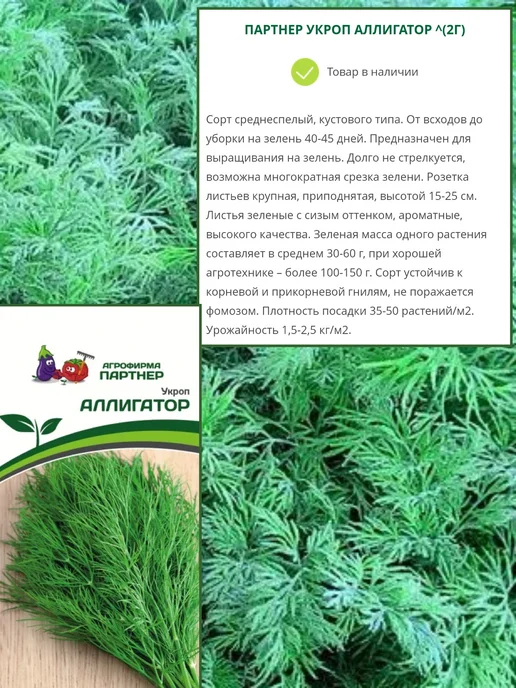 Агрофирма Партнер Семена укропа Аллигатор, петрушки Итальянский гигант, 2 шт, фото 4
