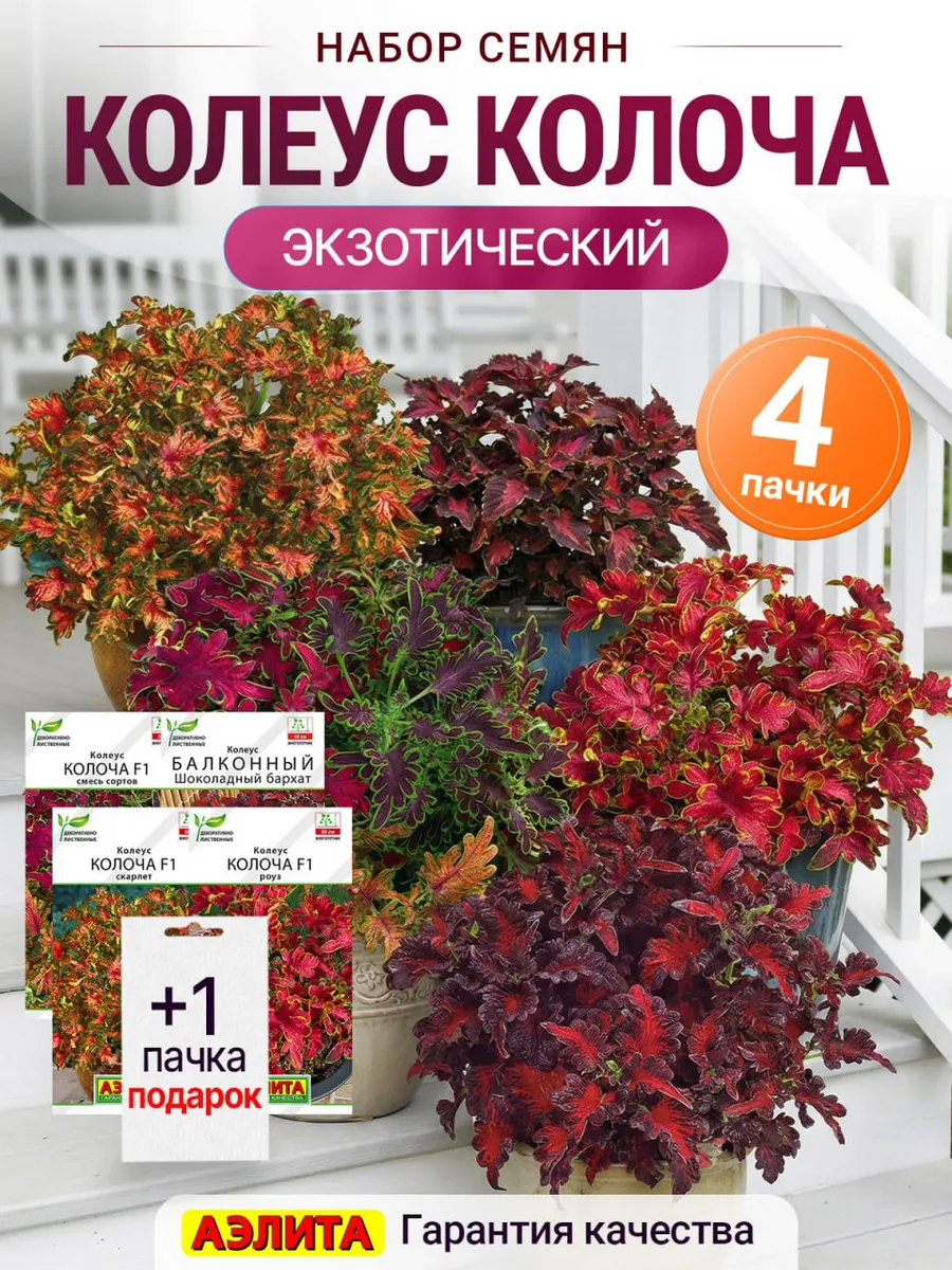 Семена Колеус Колоча Экзотический 4 сорта