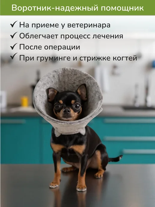 Woolly Pets Ветеринарный защитный воротник для кошек и собак, вариант, фото 8