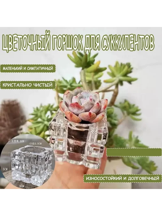 Горшок для цветов 5 см 2 шт Белый 5х5х5см, 5x5x5 см, 2 шт