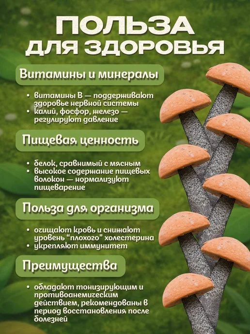 Лесная фея Белые грибы и подосиновики сушеные 100 г (набор), 100 г, фото 4