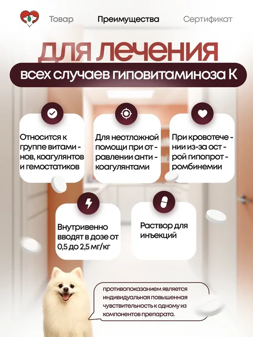 ФармБаланс Сангвения для кошек и собак, 100 мл, 100 мл, фото 2