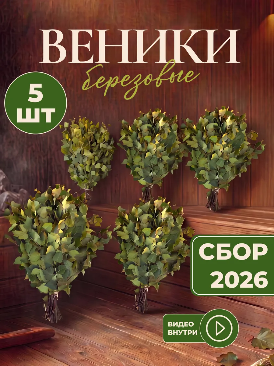 Березовые веники для баня 5шт