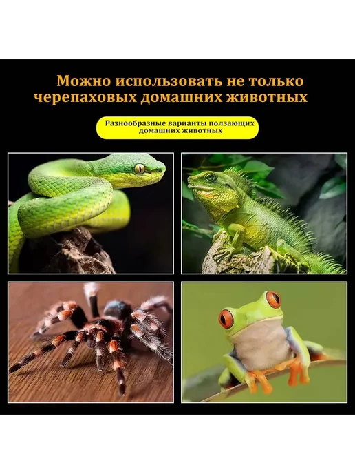 Светильник для рептилий с ультрафиолетовой лампой Черный, 25 Вт, белый, фото 3