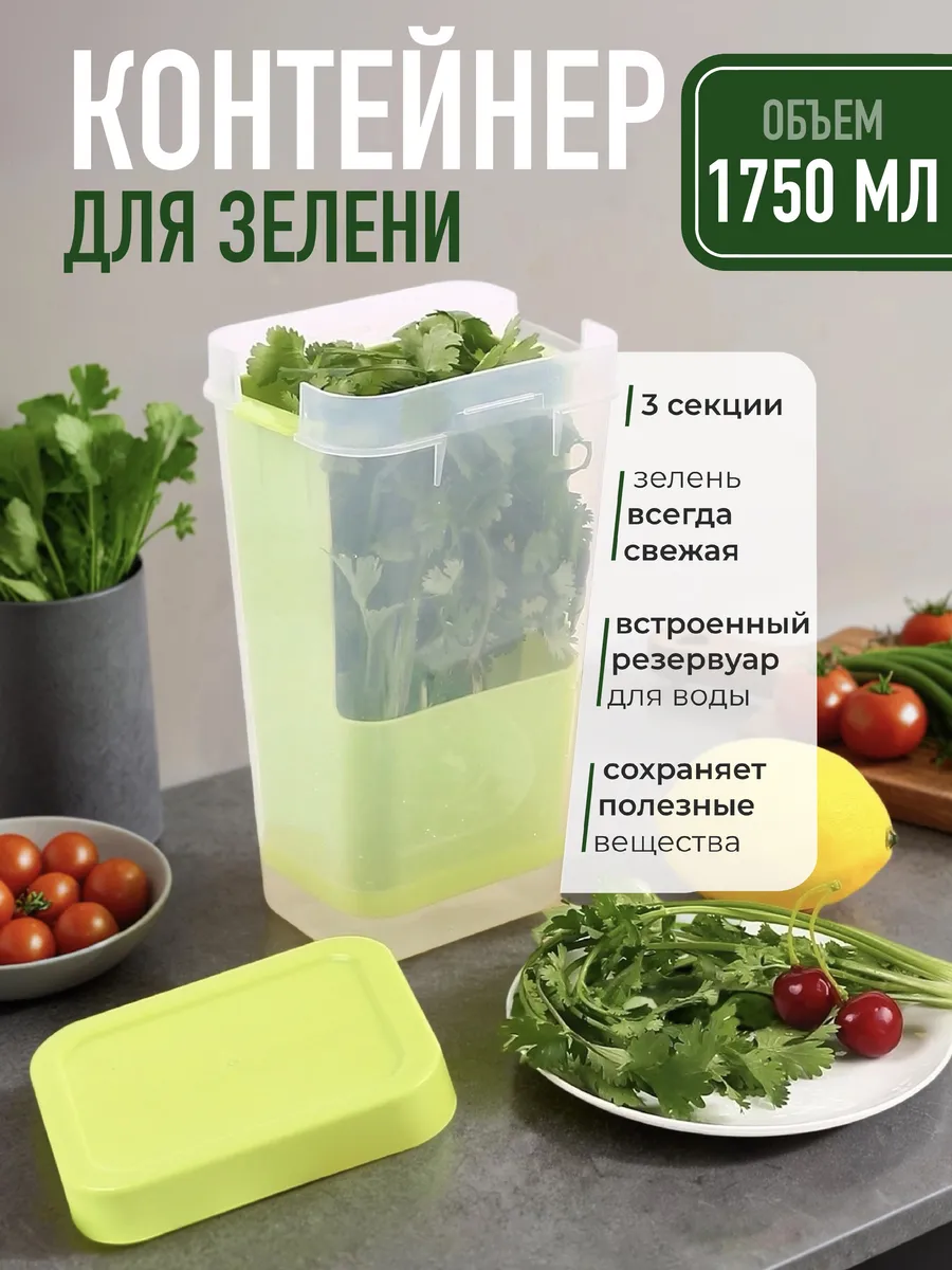 Контейнер для хранения зелени свежей в холодильник