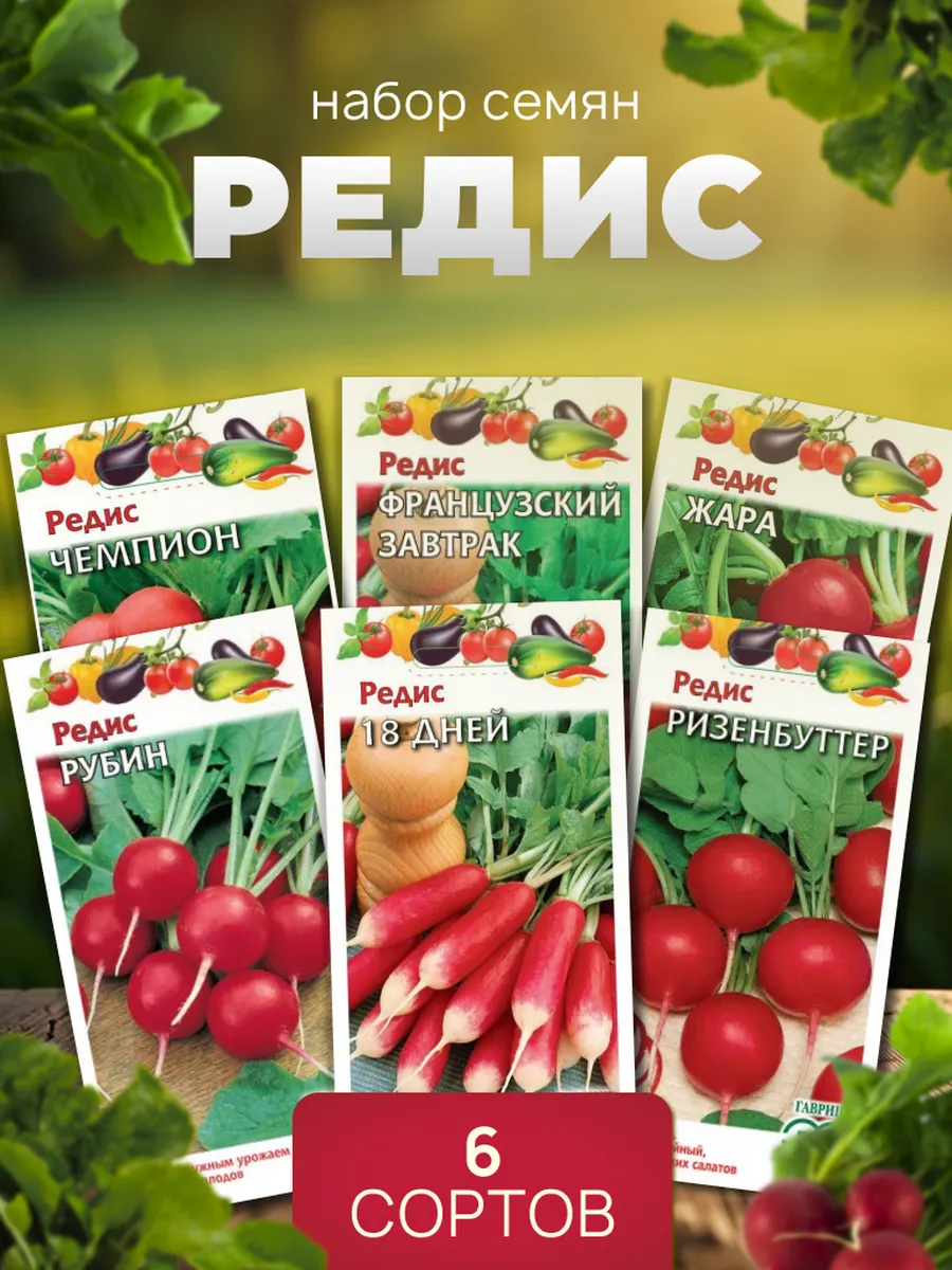 Набор семена редиса, 6 шт