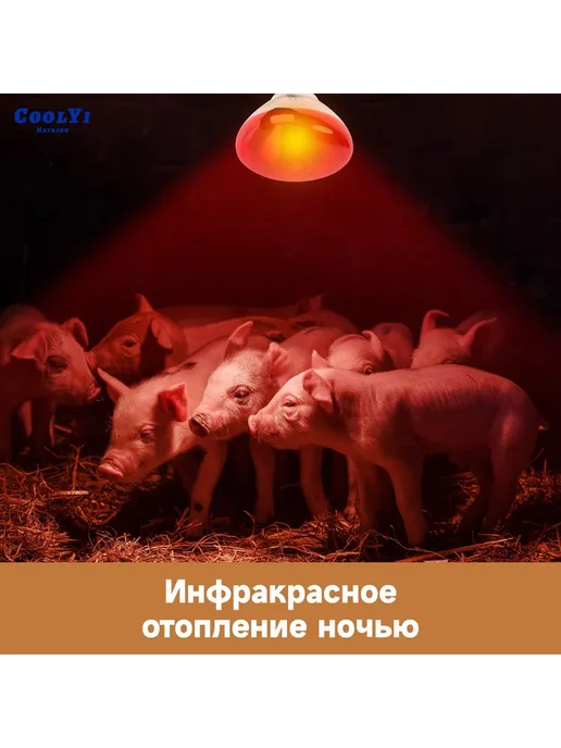 Инфракрасная лампа для обогрева 275Вт, 275 Вт, фото 5