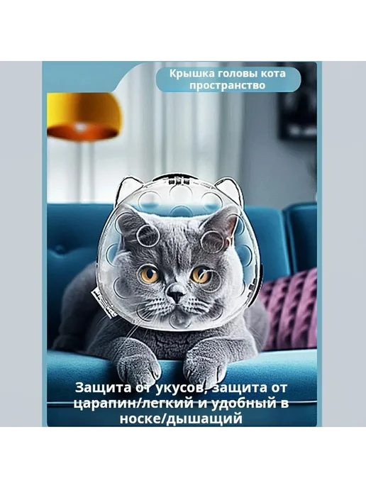 Прозрачный ABS шлем для кошек L, вариант