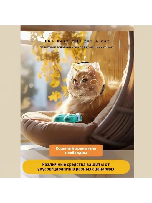Прозрачный ABS шлем для кошек L, вариант, фото 3