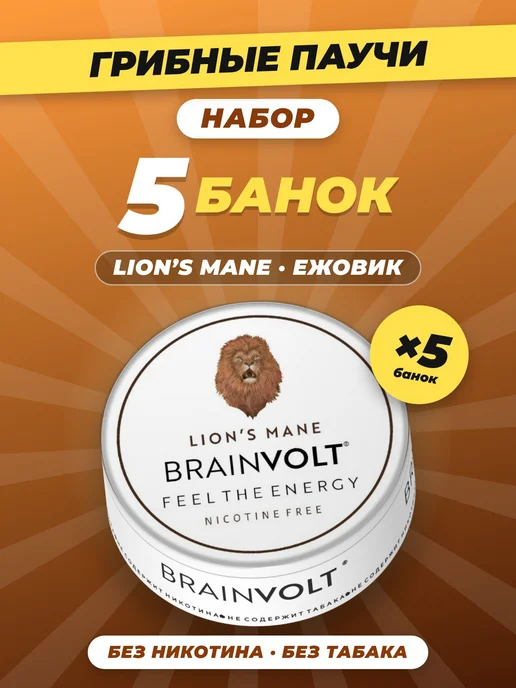Brainvolt Грибные паучи Ежовик Lion's mane набор 5 банок, мята, вариант