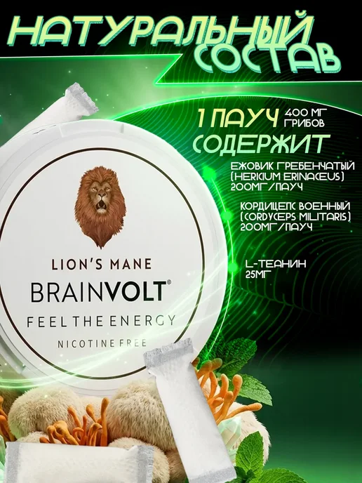 Brainvolt Грибные паучи Ежовик Lion's mane набор 5 банок, мята, вариант, фото 2