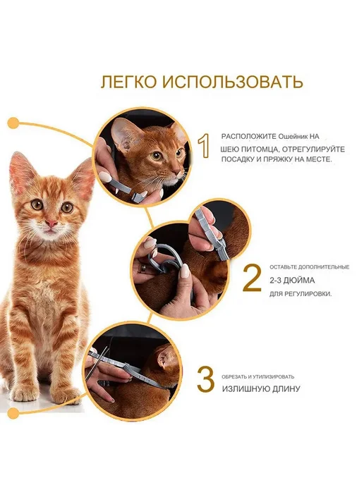 Ошейник от блох и клещей для кошек, регулируемый, летний 38, вариант, фото 3
