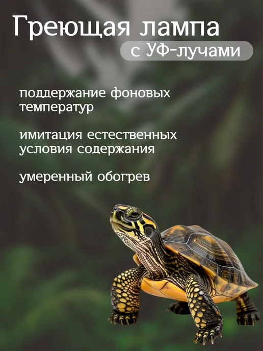 Греющая лампочка для террариума, белый, фото 3