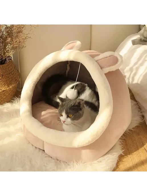 Корзина для питомцев, котенок, кот Бархат, вариант