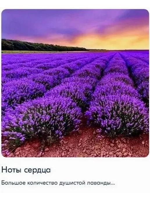 Одеколон мужской 100 мл, 100 мл, фото 5