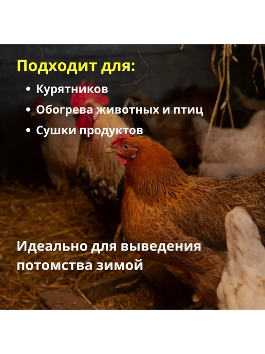 Инфракрасная лампа для обогрева птиц и животных E27 250Вт, 100 Вт, фото 2
