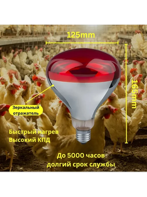 Инфракрасная лампа для обогрева птиц и животных E27 250Вт, 100 Вт, фото 3