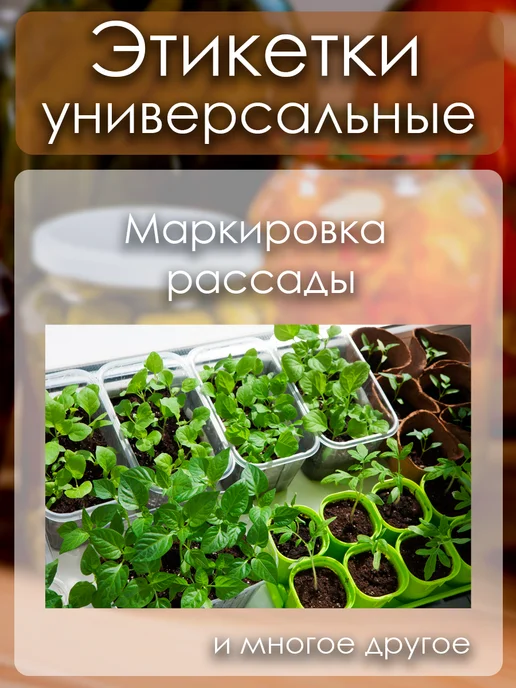 Мастерская "Рыжий кот" Наклейки самоклеящиеся этикетки для заметок 100 шт, 100 шт, фото 4