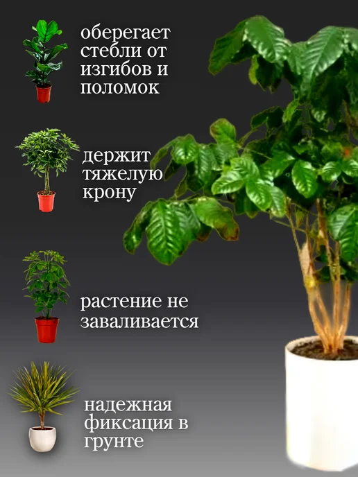 Опора для комнатных растений деревянная 50 см D 20 мм 2 шт, 2 шт, фото 3