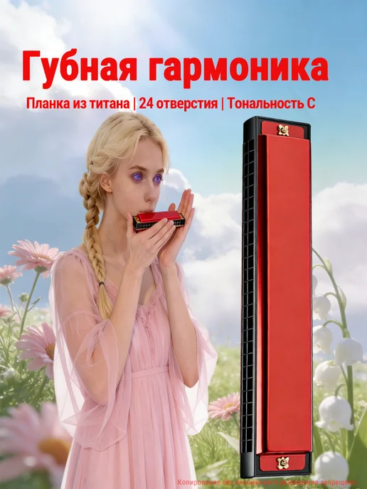Губная гармоника 24 отв. C для начинающих и профессионалов, красный