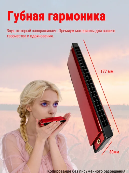Губная гармоника 24 отв. C для начинающих и профессионалов, красный, фото 3