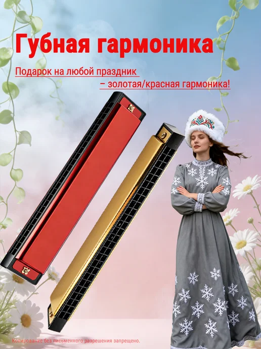 Губная гармоника 24 отв. C для начинающих и профессионалов, красный, фото 4