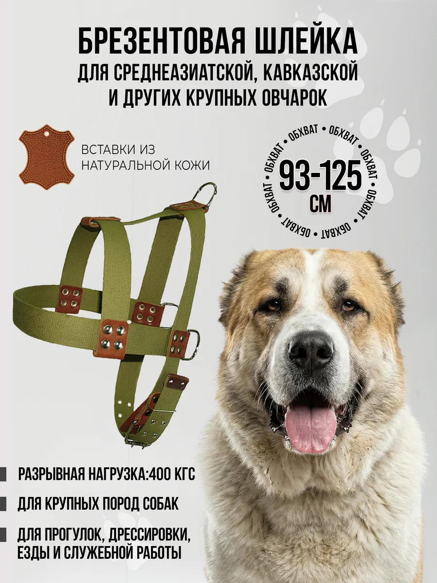 Шлейка для собак ездовая, брезент 45 мм (93-125 см)