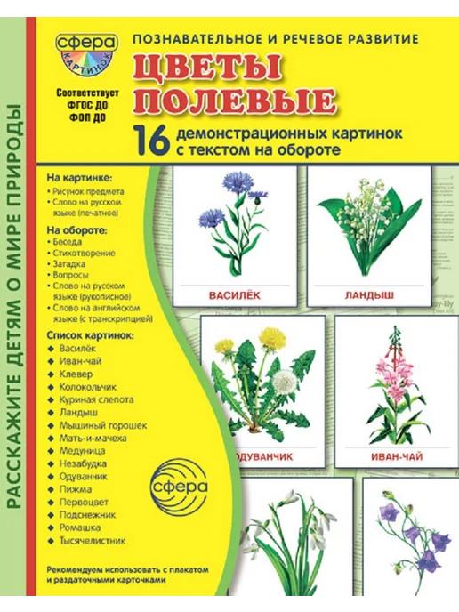 Атмосфера праздника Демонстрационные карточки. Цветы полевые 16 шт, 16 шт