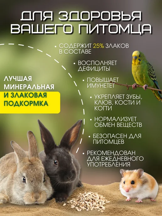 Пищевая добавка морской белый ракушечник Минеральный камень для грызунов, хомяков, джунгариков 2шт, 2 шт, фото 4
