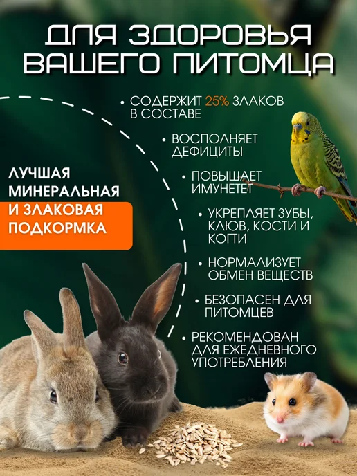 Пищевая добавка морской белый ракушечник Минеральный камень для грызунов хомяков и попугаев 2шт, 2 шт, фото 4
