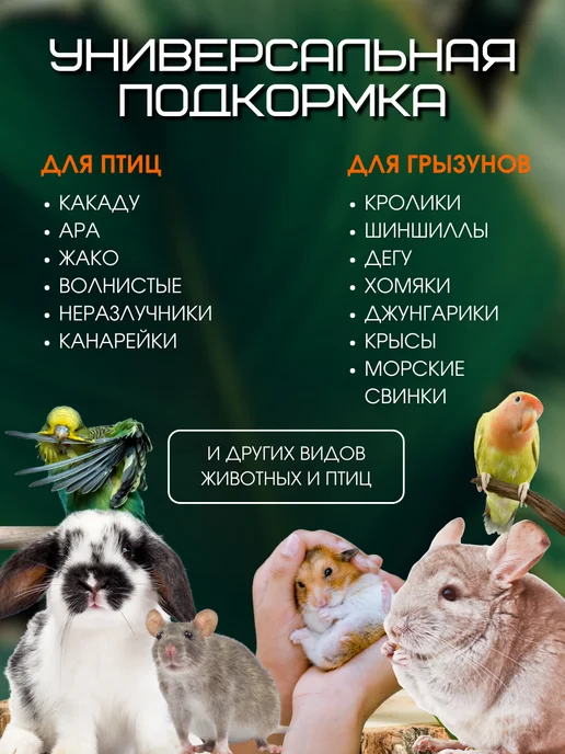 Пищевая добавка морской белый ракушечник Минеральный камень для грызунов хомяков и попугаев 2шт, 2 шт, фото 7