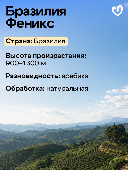 Стрелка кофе Дрип кофе молотый арабика 100%, Бразилия Фенси, 10шт х 11,5г, 10 шт, 11,5 г, фото 2