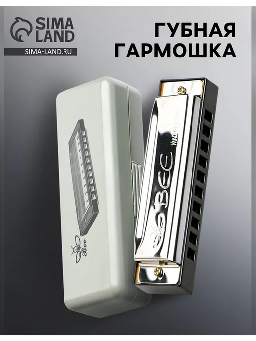 Нет бренда Диатоническая губная гармошка с футляром, серый