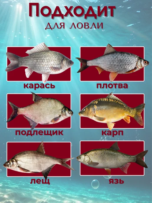 ТуризмPRO Катушка рыболовная FEEDER 5000, черный, фото 6