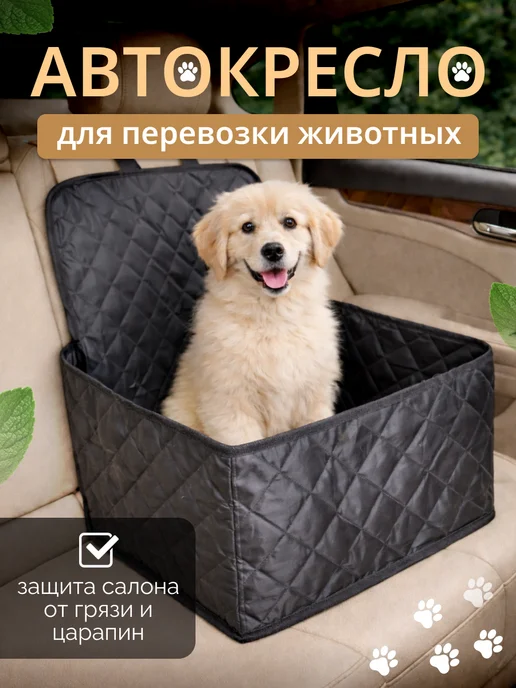 Автокресло для кошек в машину, вариант